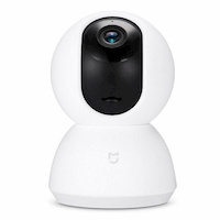 Security / Surveillance Cameras