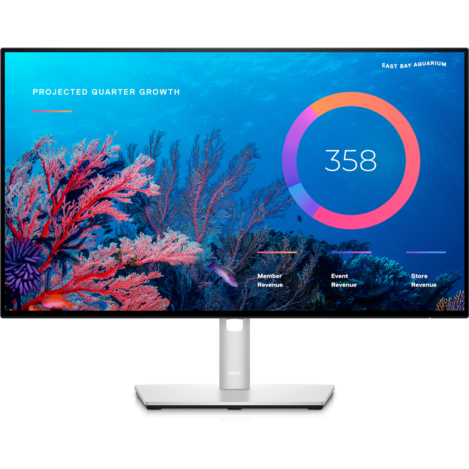 dell fhd monitor