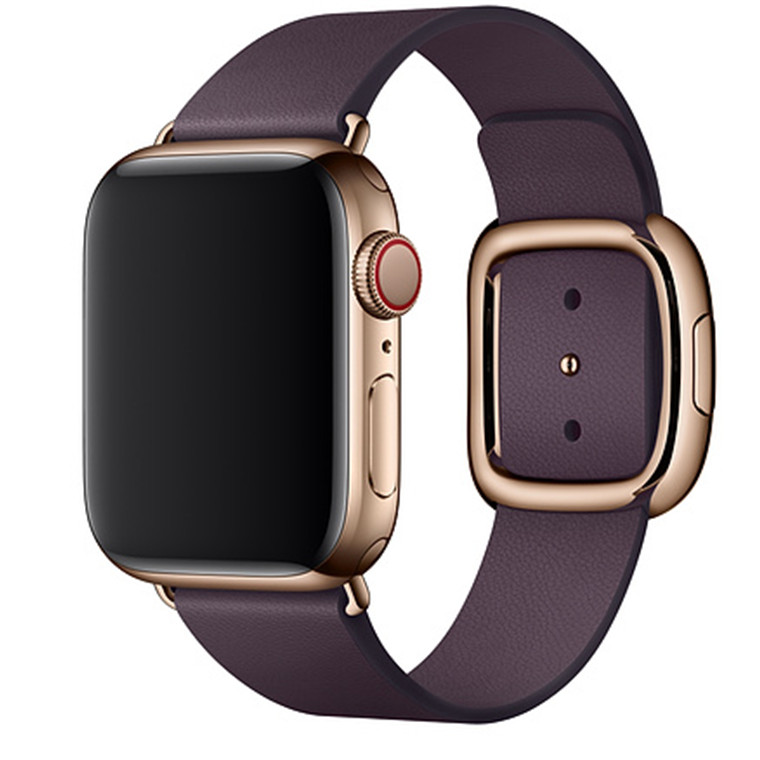 Apple Watch 40mm Aubergine Modern Buckle M