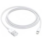 Apple Original Lightning to USB Cable - 1M